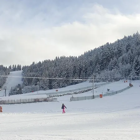 Aux Flocons De La Mauselaine Apartment Gerardmer