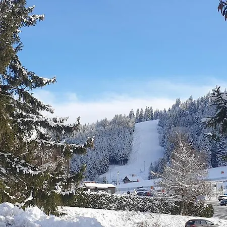 Aux Flocons De La Mauselaine Apartment Gerardmer
