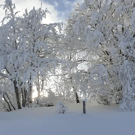 Apartment Aux Flocons De La Mauselaine Gerardmer