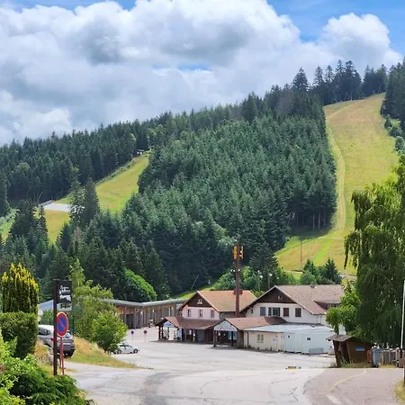 Appartement Aux Flocons De La Mauselaine *